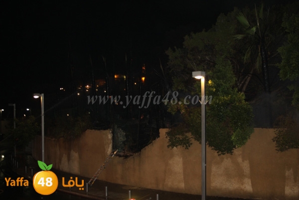 fire minas2 sterer (45).JPG